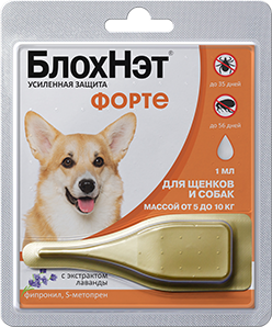 БлохНэт&nbsp;Форте
