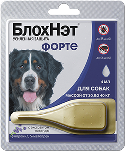 БлохНэт&nbsp;Форте